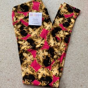 LuLaRoe Unicorn 🦄 Print Leggings -Cats